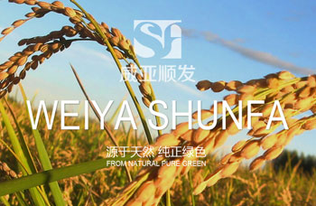 熱烈祝賀江蘇順發(fā)米業(yè)有限公司網(wǎng)站全新上線?。?！